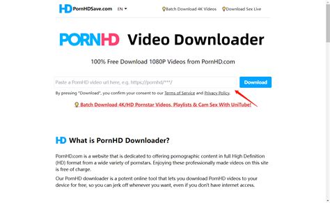 With XMate Online Downloader, you can easily download Porn videos from various adult sites. Step 1. Copy video URL from Pornhub and other porn sites you want. Step 1. Paste this URL into the search box, then click on "Download". Step 1. Select quality of video you want to download, tap on the option you want. Step 1. The porn video will be ... 